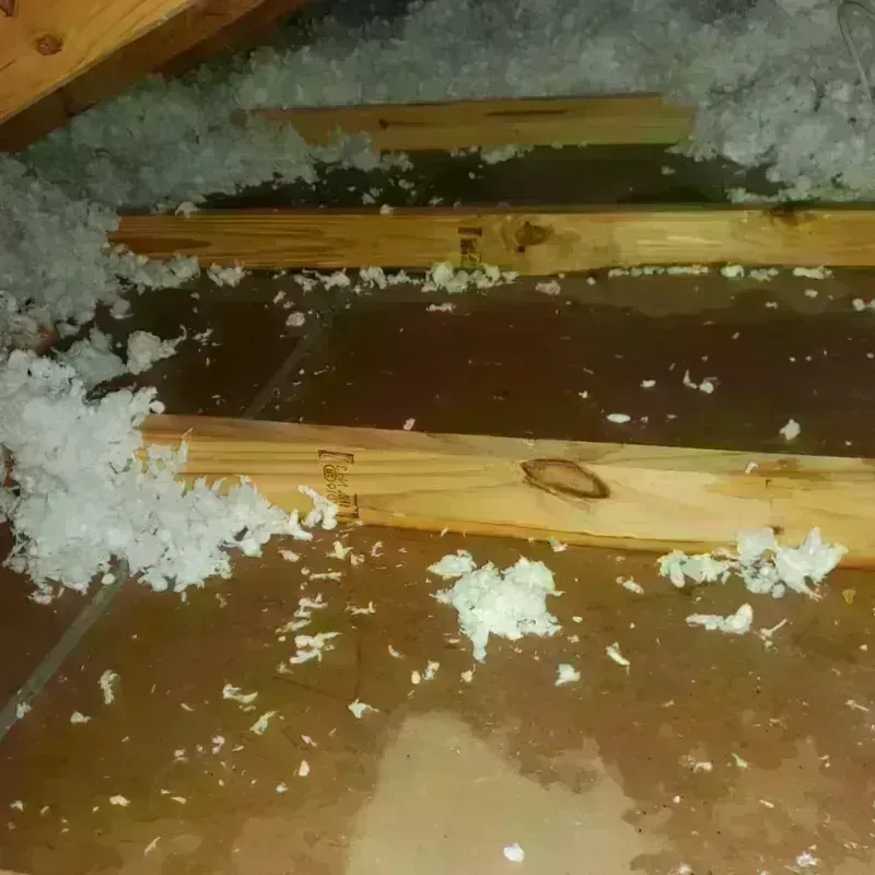 Attic Water Damage in Stockton, IL