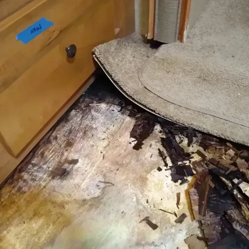 Best Wood Floor Water Damage Service in Stockton, IL